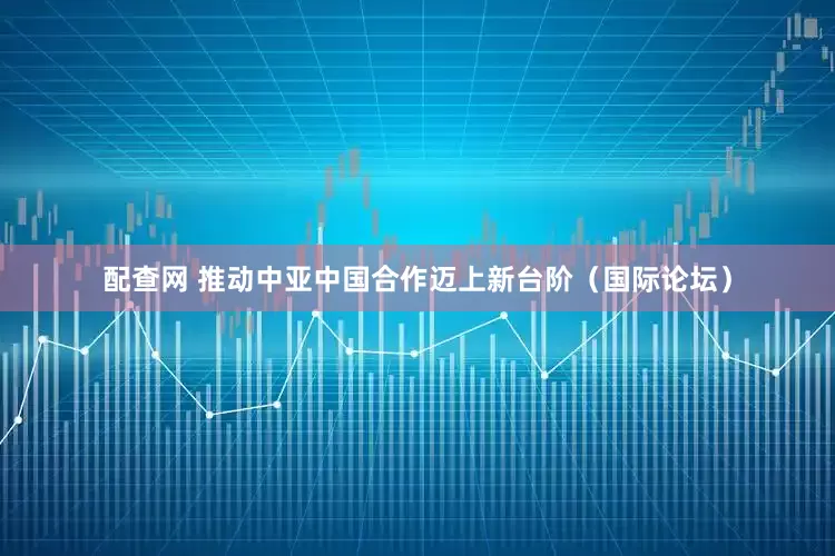 配查网 推动中亚中国合作迈上新台阶（国际论坛）