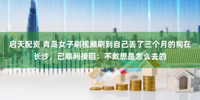 启天配资 青岛女子刷视频刷到自己丢了三个月的狗在长沙，已顺利接回：不敢想是怎么去的